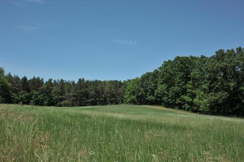 3460 E Colby Rd, Stanton, MI 48888 photo 18