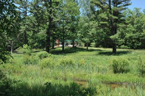 3460 E Colby Rd, Stanton, MI 48888 photo 23