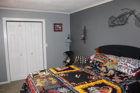6492 E Stanton Rd, Stanton, MI 48888 photo 31
