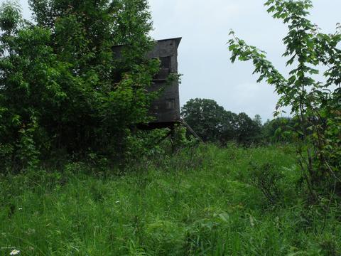 10790 Bierri Rd, Evart, MI 49631 photo 38