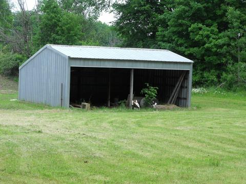 10790 Bierri Rd, Evart, MI 49631 photo 20