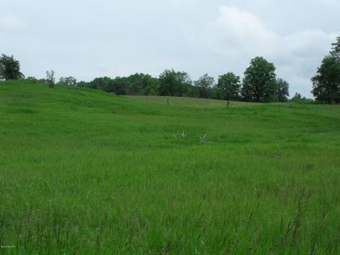 10790 Bierri Rd, Evart, MI 49631 photo 35