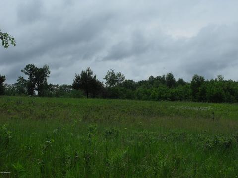 10790 Bierri Rd, Evart, MI 49631 photo 29