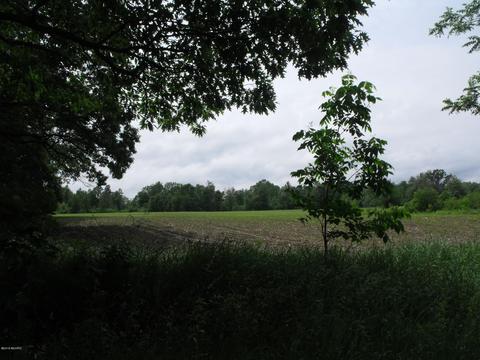 10790 Bierri Rd, Evart, MI 49631 photo 26