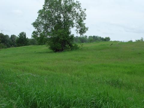 10790 Bierri Rd, Evart, MI 49631 photo 36