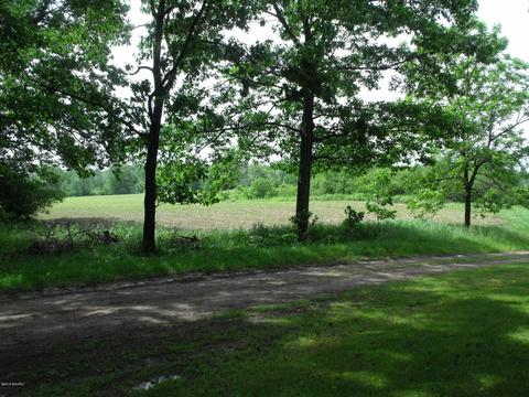 10790 Bierri Rd, Evart, MI 49631 photo 58