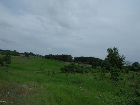 10790 Bierri Rd, Evart, MI 49631 photo 49