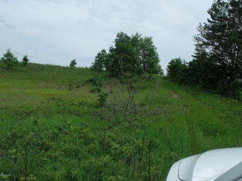 10790 Bierri Rd, Evart, MI 49631 photo 44