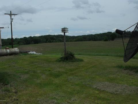 10790 Bierri Rd, Evart, MI 49631 photo 22