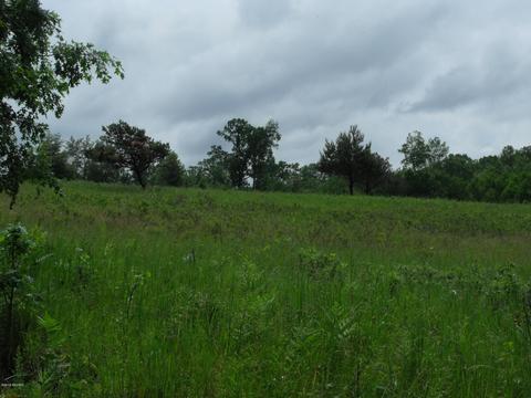 10790 Bierri Rd, Evart, MI 49631 photo 30