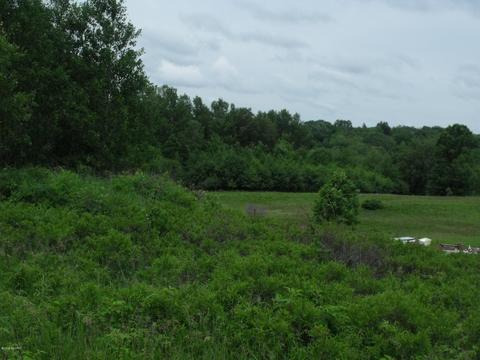 10790 Bierri Rd, Evart, MI 49631 photo 41