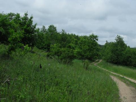 10790 Bierri Rd, Evart, MI 49631 photo 27