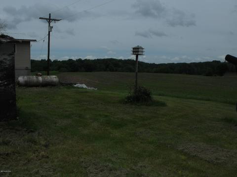 10790 Bierri Rd, Evart, MI 49631 photo 24