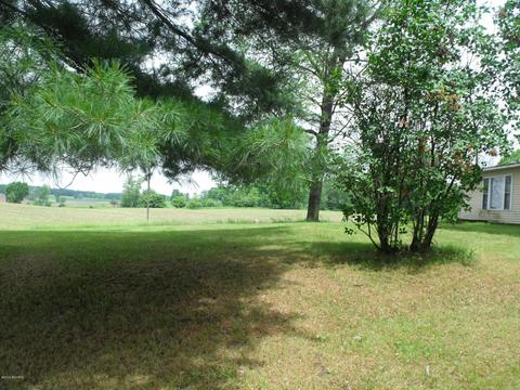 10790 Bierri Rd, Evart, MI 49631 photo 56