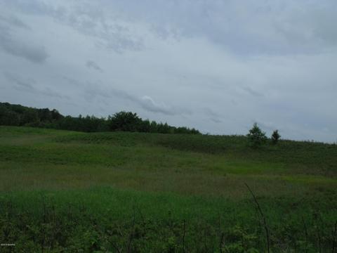 10790 Bierri Rd, Evart, MI 49631 photo 43