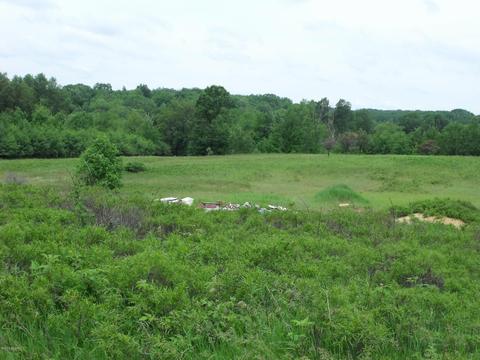 10790 Bierri Rd, Evart, MI 49631 photo 42