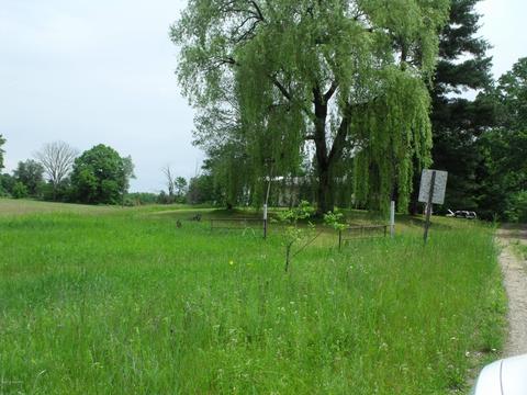 10790 Bierri Rd, Evart, MI 49631 photo 54