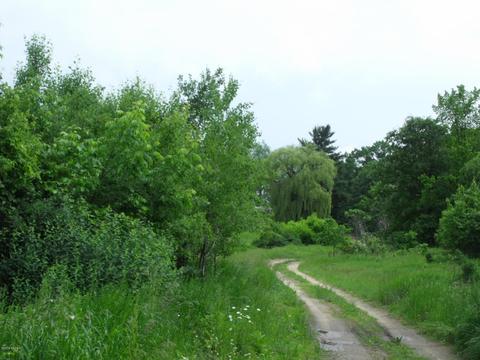 10790 Bierri Rd, Evart, MI 49631 photo 33