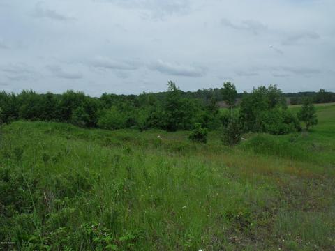 10790 Bierri Rd, Evart, MI 49631 photo 48
