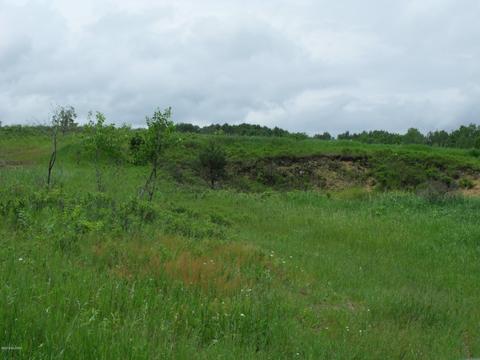 10790 Bierri Rd, Evart, MI 49631 photo 28