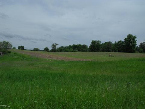 10790 Bierri Rd, Evart, MI 49631 photo 53
