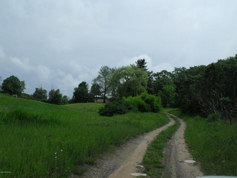 10790 Bierri Rd, Evart, MI 49631 photo 51