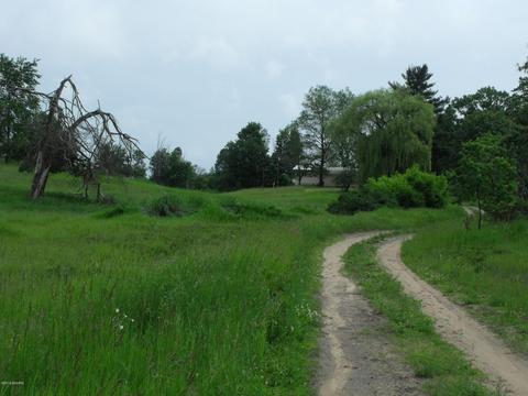 10790 Bierri Rd, Evart, MI 49631 photo 34