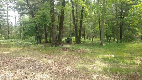 6756 S Astor Rd, Baldwin, MI 49304 photo 10