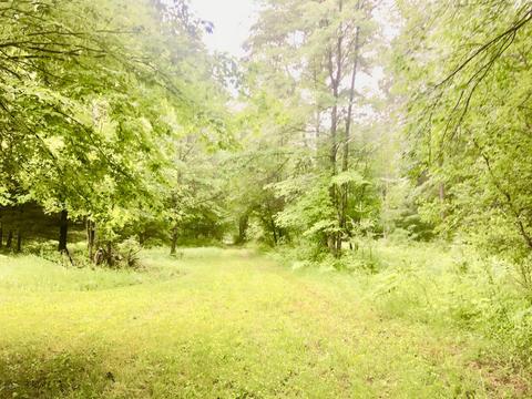 2609 E 8 Mile Rd, White Cloud, MI 49349 photo 16