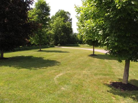 6800 Lessiter Rd NE, Belding, MI 48809 photo 5