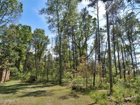 841 E 11 Mile Rd, Irons, MI 49644 photo 35