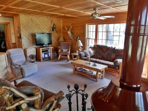 841 E 11 Mile Rd, Irons, MI 49644 photo 11