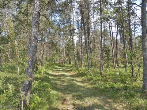 841 E 11 Mile Rd, Irons, MI 49644 photo 38