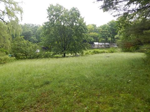 449 E 56th St, Newaygo, MI 49337 photo 8