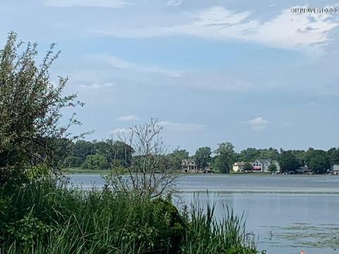 1171 Orchard Dr, Marshall, MI 49068 photo 6