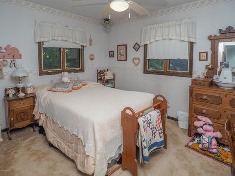 801 Cedar Lk, Marshall, MI 49068 photo 14
