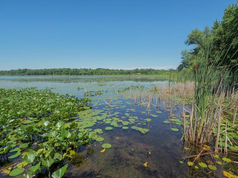 801 Cedar Lk, Marshall, MI 49068 photo 47