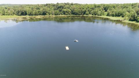 14641 M-89, Augusta, MI 49012 photo 51