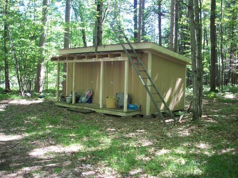 4584 E 44th St, Chase, MI 49623 photo 5