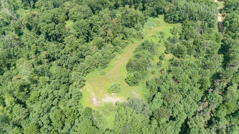 21062 Schweitzer Rd, Three Rivers, MI 49093 photo 9