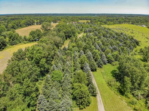 15380 S C Dr, Marshall, MI 49068 photo 26