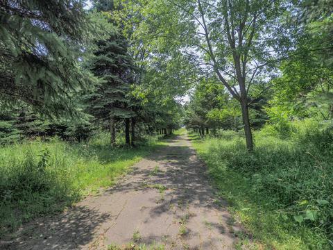 15380 S C Dr, Marshall, MI 49068 photo 11