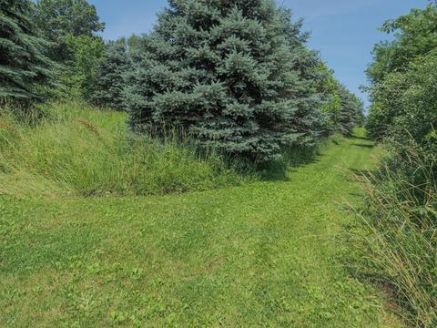 15380 S C Dr, Marshall, MI 49068 photo 13