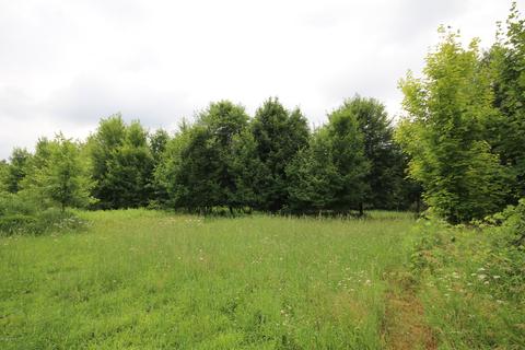 50073 Mcclish Rd, Mendon, MI 49072 photo 2
