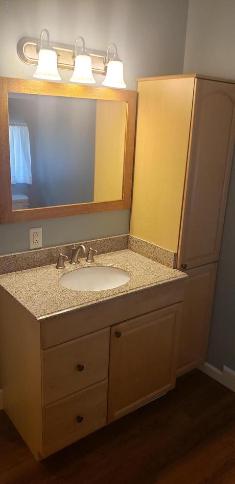 11432 41 Maple Dr, Lakeview, MI 48850 photo 20