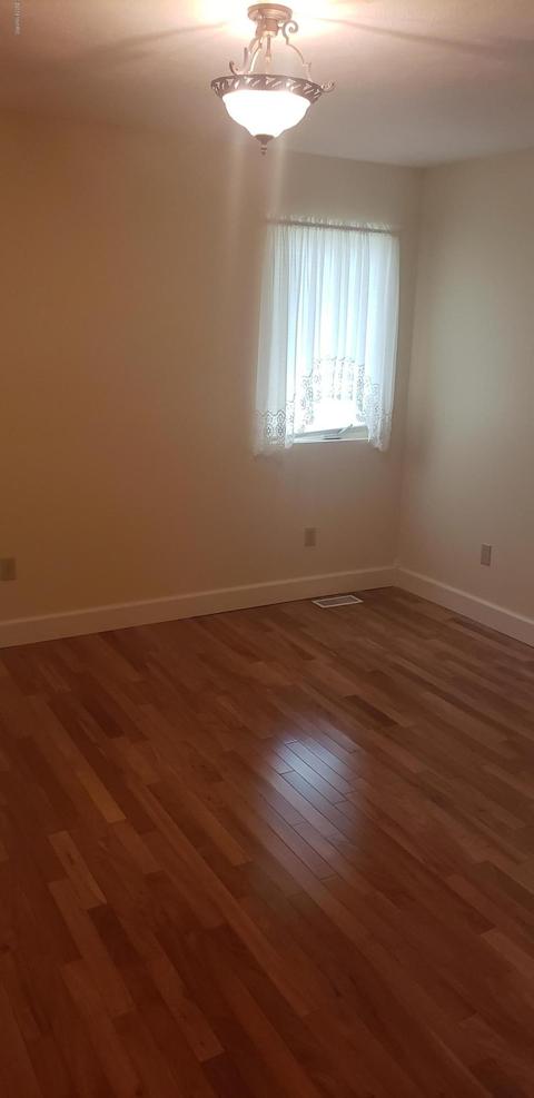 11432 41 Maple Dr, Lakeview, MI 48850 photo 29