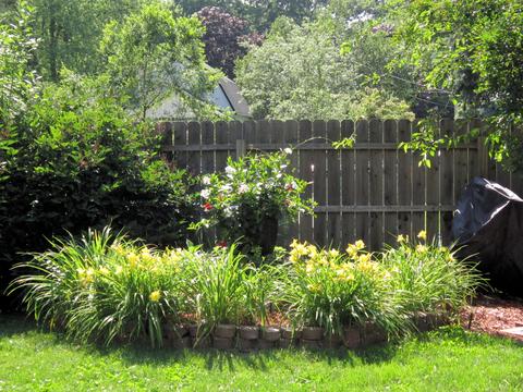 514 Exchange St, Spring Lake, MI 49456 photo 48