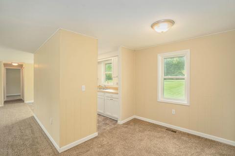 220 E Sidney Rd, Stanton, MI 48888 photo 8