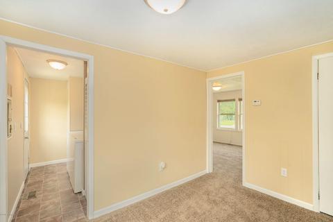 220 E Sidney Rd, Stanton, MI 48888 photo 15