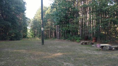 3434 S Laurel Dr, White Cloud, MI 49349 photo 10